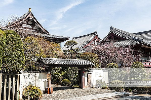 Eingang Z J Ji Temple Zur Kirschblute Buddhistische Tempelanlage Traditionelle Japanische Architektur Tokyo Japan Asien