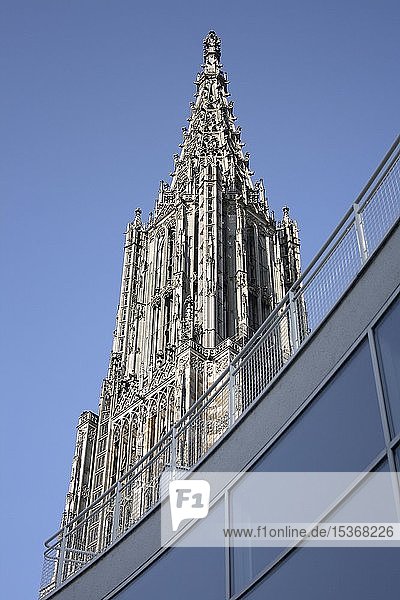 Kirchturm des Ulmer Münsters hinter der Glasfassade des Rathauses  Ulm  Baden-Württemberg  Deutschland  Europa