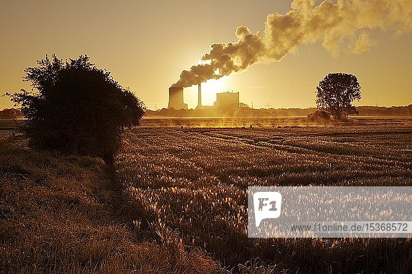 Heyden power plant at sunrise  coal-fired power plant  global warming  coal phase-out  Petershagen  North Rhine-Westphalia  Germany  Europe