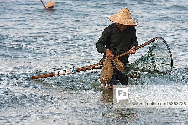 Crabfisher with straw hat in the water  beach Cua Dai  near Hoi An  Vietnam  Asia