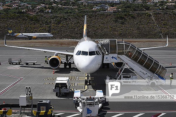 Airbus A320 Condor Thomas Cook beim Einchecken  Flughafen Madeira Cristiano Ronaldo  Aeroporto Internacional da Madeira Cristiano Ronaldo  Insel Madeira  Portugal  Europa