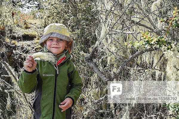 Small boy with tree lichen in his hand Patagonian Rainforest Fin del Mundo End of the World Parque Nacional Tierra del Fuego National Park Tierra del Fuego Ushuaia Tierra del Fuego Argentina South America