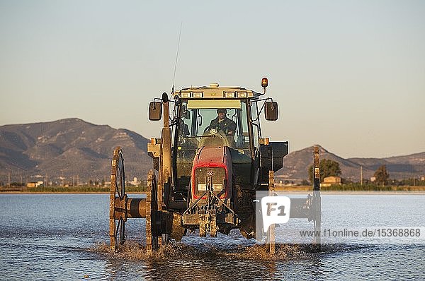 Traktor bei der Aussaat von Reis in einem überfluteten Reisfeld Naturschutzgebiet Ebro-Delta Provinz Tarragona Katalonien Spanien Europa
