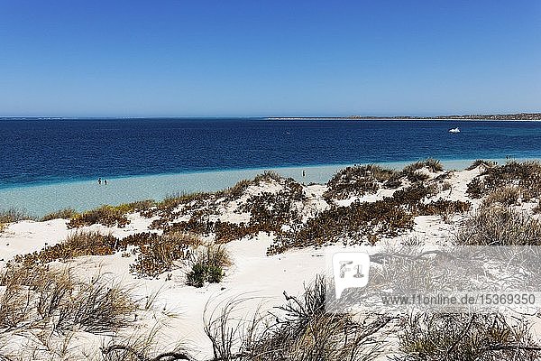 Coastal vegetation and beach area  Coral Bay  Western Australia  Australia  Oceania