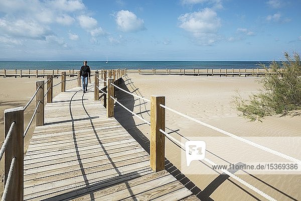 Hölzerne Stege am Strand von Riumar  Naturpark Ebro-Delta  Provinz Tarragona  Katalonien  Spanien  Europa