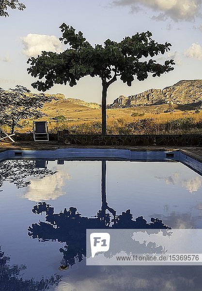 Baum spiegelt sich in Swimmingpool Lodge im Isalo Nationalpark Madagaskar Afrika