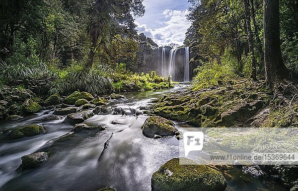 Wasserfall Whangarei Falls Fluss Hatea Whangarei Falls Scenic Reserve Northland Nordinsel Neuseeland Ozeanien