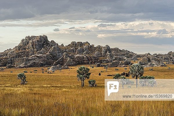 Landschaft mit Felsen und Bismarckpalmen (Bismarckia nobilis) Isalo Nationalpark Madagaskar Afrika