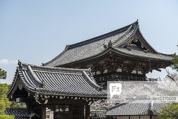 Eingang Z J Ji Temple Zur Kirschblute Buddhistische Tempelanlage Traditionelle Japanische Architektur Tokyo Japan Asien