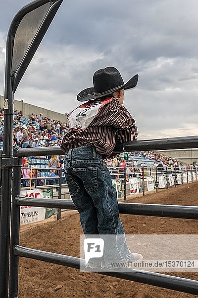 Cowboy boy at rodeo as spectator  Heber City  Utah  USA  North America