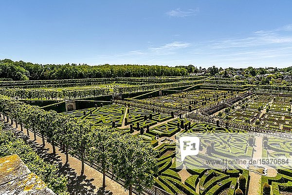 Gärten von Chateau de Villandry  Departement Indre-et-Loire  Centre-Val de Loire  Frankreich  Europa