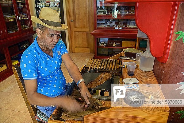 Cigar rolling  tobacco  tobacco factory  Bayahibe  Dominican Republic  Central America
