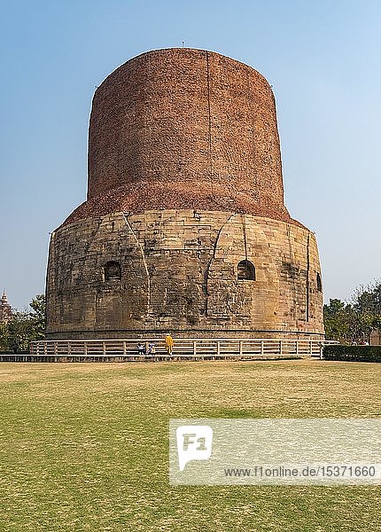 Dhamek Stupa  Sarnath bei Varanasi  Indien  Asien