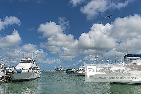 Yachten im Yachthafen Key West  Florida Keys  Florida  USA  Nordamerika