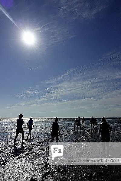 Persons in Backlight Wadden Sea Hike Schleswig-Holstein Wadden Sea National Park Schleswig-Holstein Germany Europe