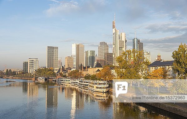 Main  Skyline  Wolkenkratzer im Bankenviertel im Morgenlicht  Frankfurt am Main  Hessen  Deutschland  Europa
