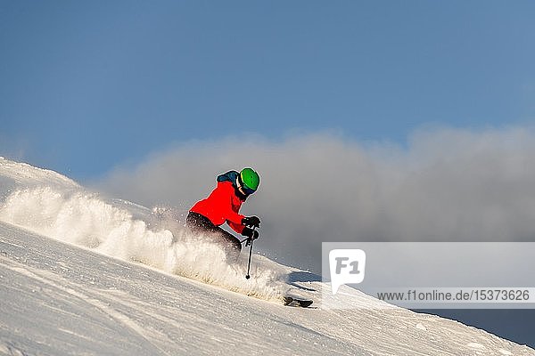 Female skier skiing steep downhill  black piste  behind mountains  Brixen im Thale  Tyrol  Austria  Europe