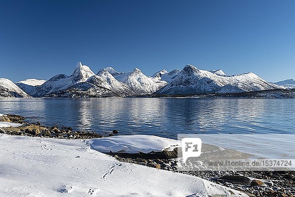 Küstenlandschaft am Fjord  Stetind  Norwegisches Nationalgebirge  Tysfjord  Nordland  Norwegen  Europa