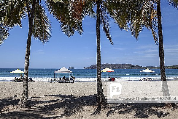 Sandstrand mit Palmen, Playa Carrillo, Samara, Halbinsel Nicoya, Provinz Guanacaste, Costa Rica, Mittelamerika