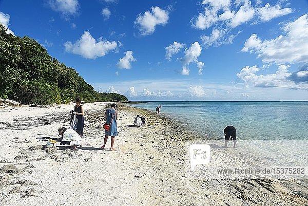 People collecting star sands or Hoshi-zuna at Kaiji Beach  Taketomi Island  Okinawa Prefecture  Japan  Asia