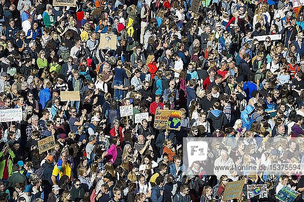 Crowd from above  demonstrators at the climate strike  demonstration 20.09.2019  fridays for future  Freiburg im Breisgau  Baden-Württemberg  Germany  Europe
