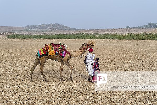 Menschen vom Stamm der Rabari wandern in der Wüste mit einem Dromedar  Great Rann of Kutch  Gujarat  Indien  Asien