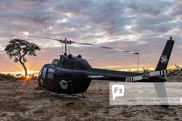 Hubschrauber in der afrikanischen Savanne bei Sonnenuntergang  nahe Cuito Cuanavale  Provinz Cuando Cubango  Angola  Afrika