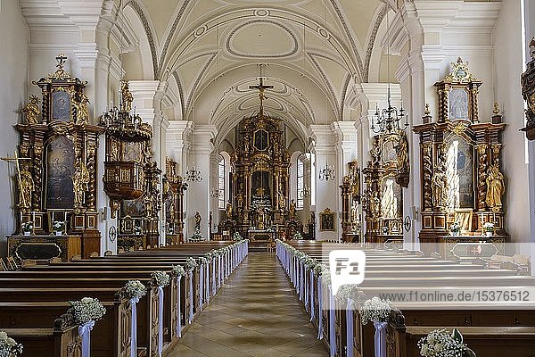 Pfarrkirche Maria Himmelfahrt  Landau an der Isar  Niederbayern  Bayern  Deutschland  Europa
