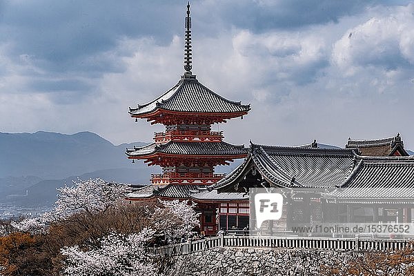 Pagode und Zuigud?-Halle des Kiyomizu-dera-Tempels zur Kirschblüte  Buddhistische Tempelanlage  Touristen vor Pagode  Higashiyama  Kyoto  Japan  Asien