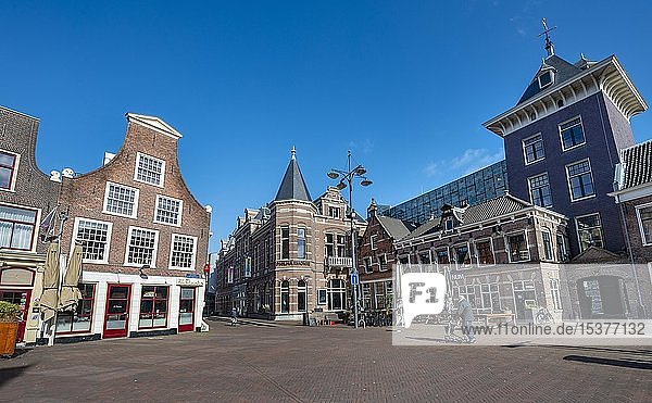 Historische Häuser und Philharmonie am Riviervismarkt  Haarlem  Provinz Nordholland  Holland  Niederlande