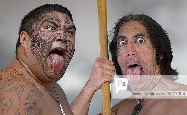 Zwei Tänzer beim rituellen Haka Tanz mit herausgestreckter Zunge Folklore Darbietung der Maori Whakarewarewa Rotorua Bay of Plenty Nordinsel Neuseeland Ozeanien