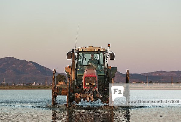 Traktor bei der Aussaat von Reis in einem überfluteten Reisfeld Naturschutzgebiet Ebro-Delta Provinz Tarragona Katalonien Spanien Europa