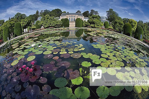 Seerosenteich Maurisches Landhaus Zoologisch-Botanischer Garten Wilhelma Stuttgart Baden-Württemberg Deutschland Europa