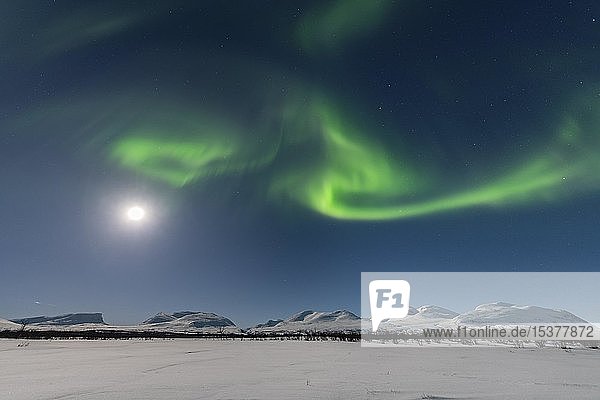 Nordlicht (Aurora Borealis) bei Vollmond über schneebedeckten Bergen  Lapporten  Abisko National Park  Abisko  Lappland  Schweden  Europa