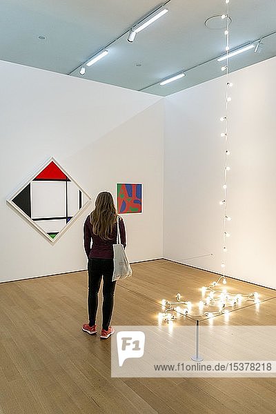 Besucher betrachtet moderne Gemälde  Ausstellungsraum im Stedelijk Museum of Modern Art  Amsterdam  Niederlande