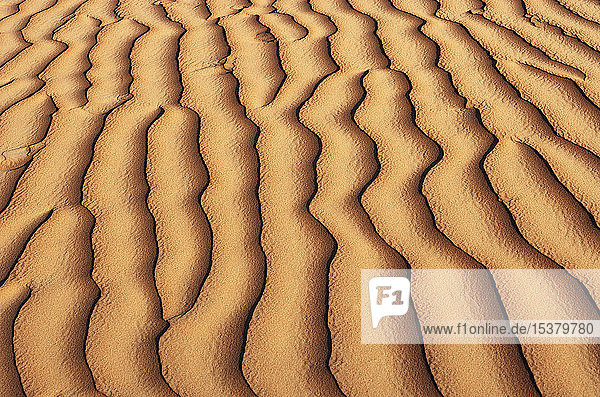 Oman Geriffelter Sand auf einer Düne Vollbild