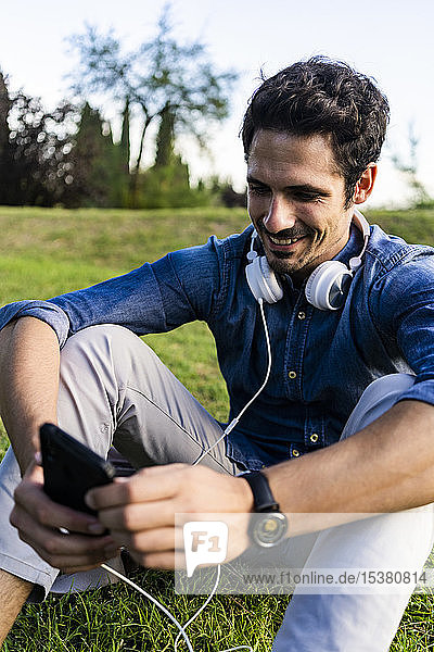Smiling man sitting on a meadow using his smartphone