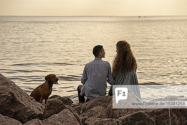 Junges Paar mit Hund abends am Strand