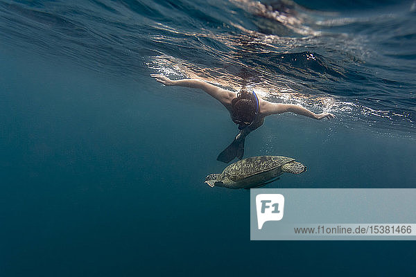 Mann taucht mit Schildkröte  Insel Gili  Bali