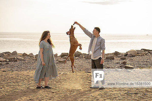 Young couple with dog at the beach  dog jumping