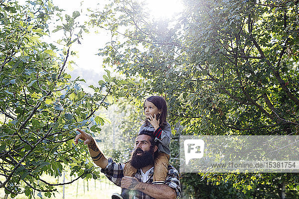 Vater spricht im Wald mit Kind auf den Schultern
