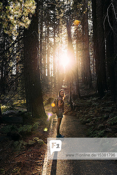Frau mit Rucksack beim Wandern im Wald bei Sonnenuntergang im Sequoia-Nationalpark  Kalifornien  USA