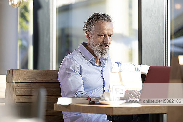 Mature man using laptop in a cafe
