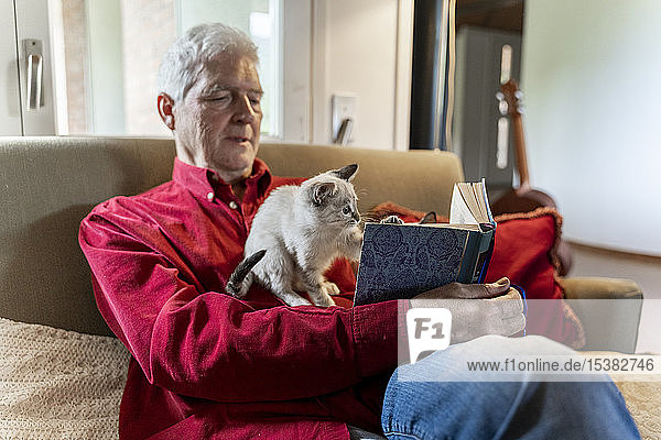 Älterer Mann mit Kätzchen sitzt auf dem Sofa und liest ein Buch
