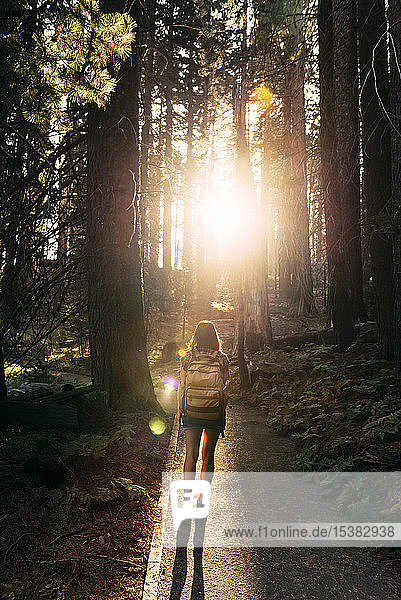 Woman with backpack hiking in the forest at sunset in Sequoia National Park  California  USA