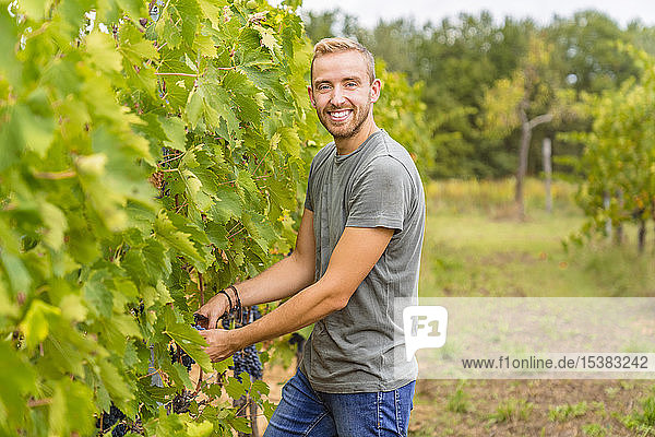 Porträt eines lächelnden jungen Mannes bei der Weinlese im Weinberg