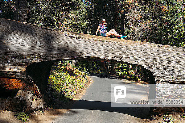 Frau sitzt auf einem Tunnelstamm im Sequoia-Nationalpark  Kalifornien  USA