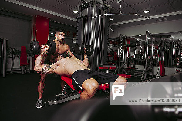 Muscular men training in gym