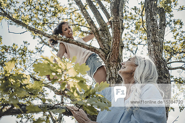Mutter und Tochter amüsieren sich  klettern auf einen Baum