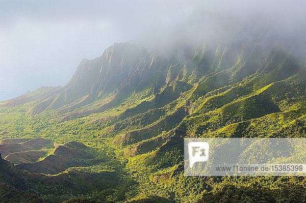 USA Hawaii Kalalau Aussichtspunkt über der Küste Napalis vom Kokee State Park aus